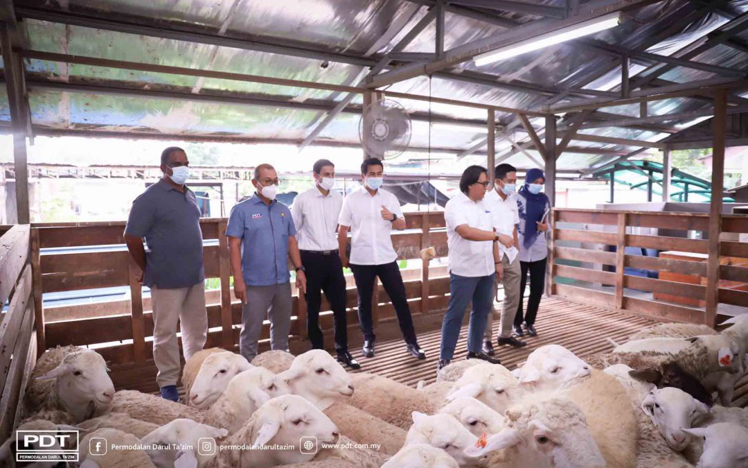 PDT KUNJUNGI OSMAN GOAT FARM BAGI MELIHAT SISTEM PENTERNAKAN KAMBING TENUSU, PEDAGING